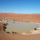 Seltenes Schauspiel - Wasser in der Namib-Wüste