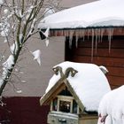 Seltenheit: Schnee in Dudenhofen