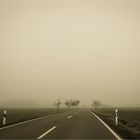 Seltsam im Nebel zu... fahren