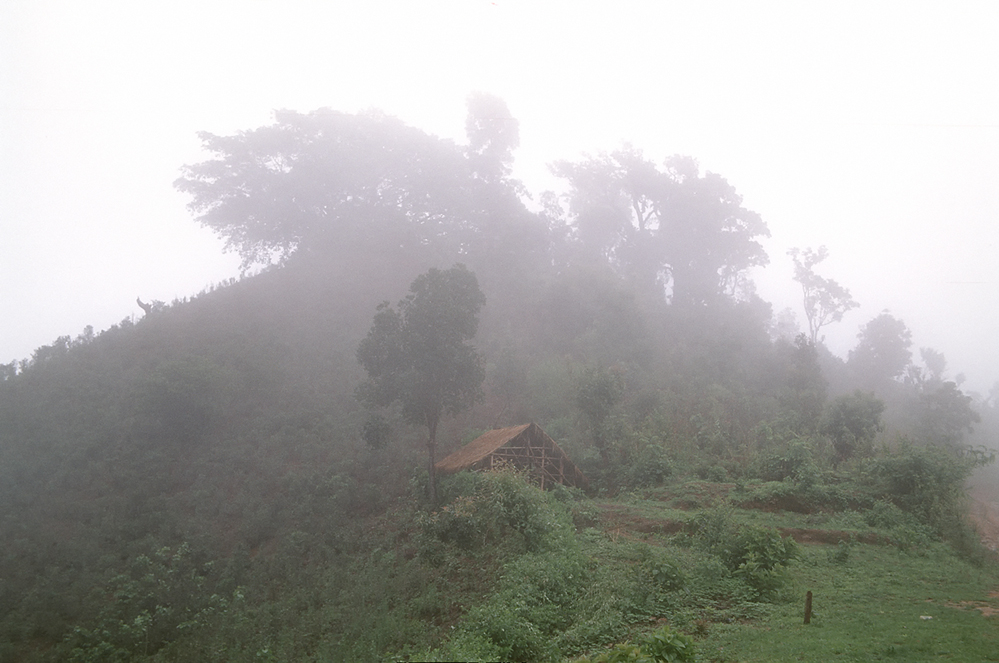 Seltsam im Nebel zu wandeln...