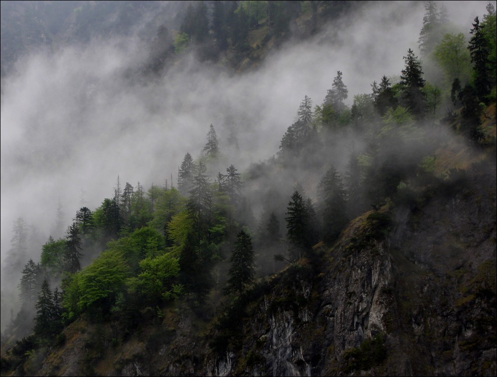 seltsam, im Nebel zu wandern