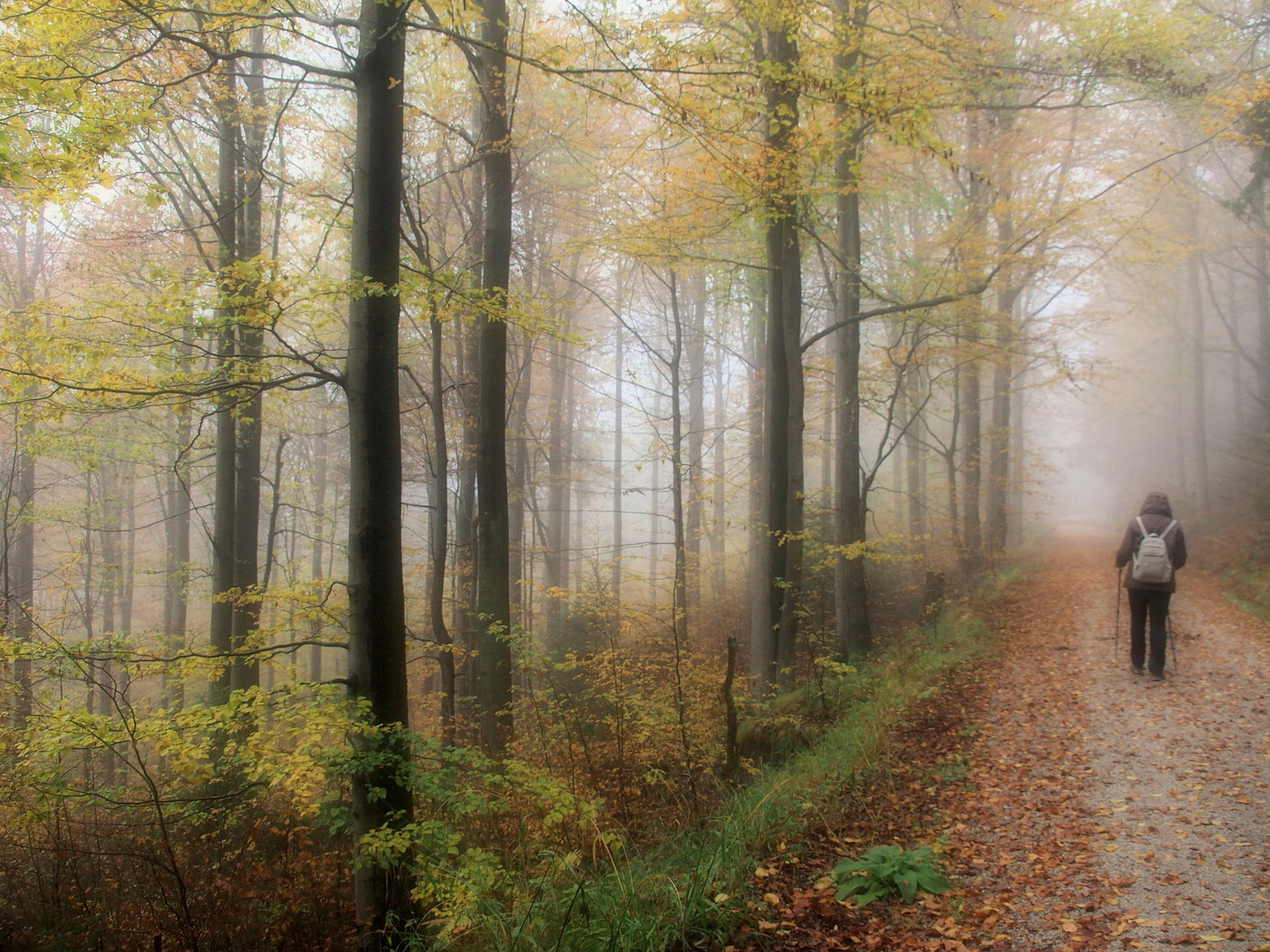 Seltsam im Nebel zu wandern...