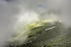 Seltsam, im Nebel zu wandern...