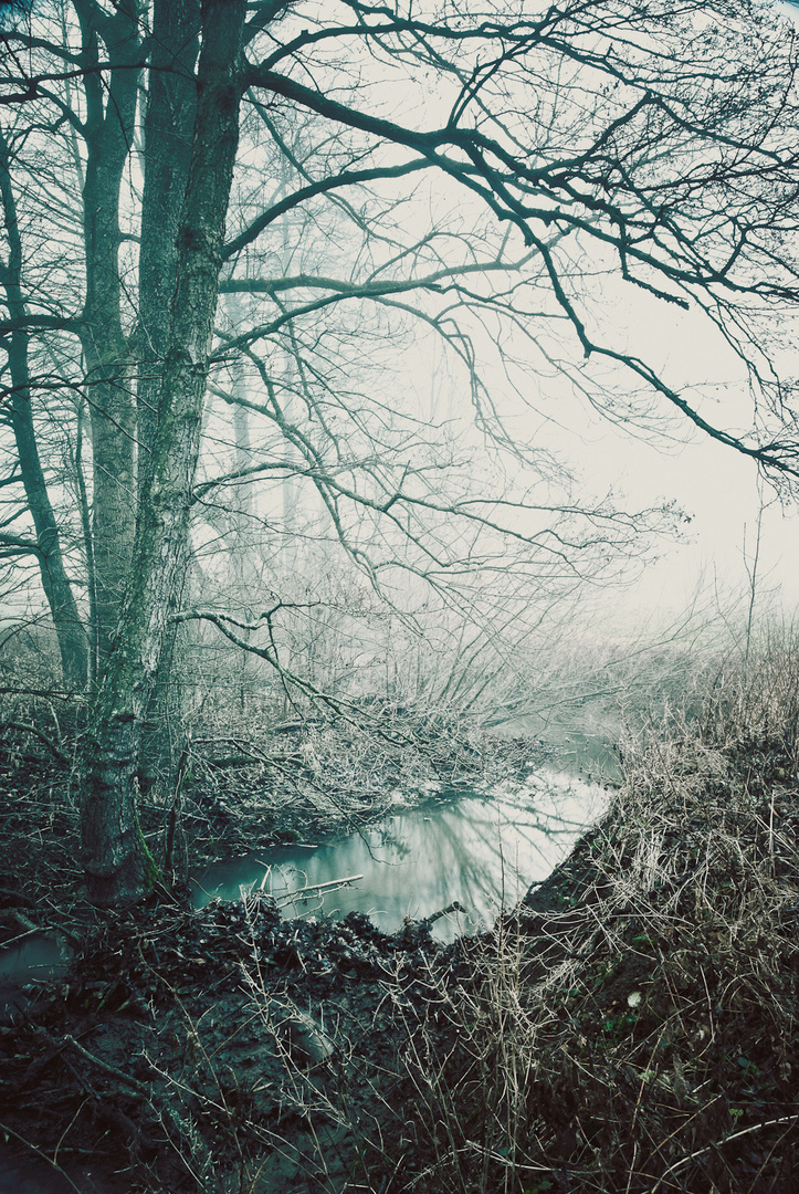 seltsam im nebel zu wandern…