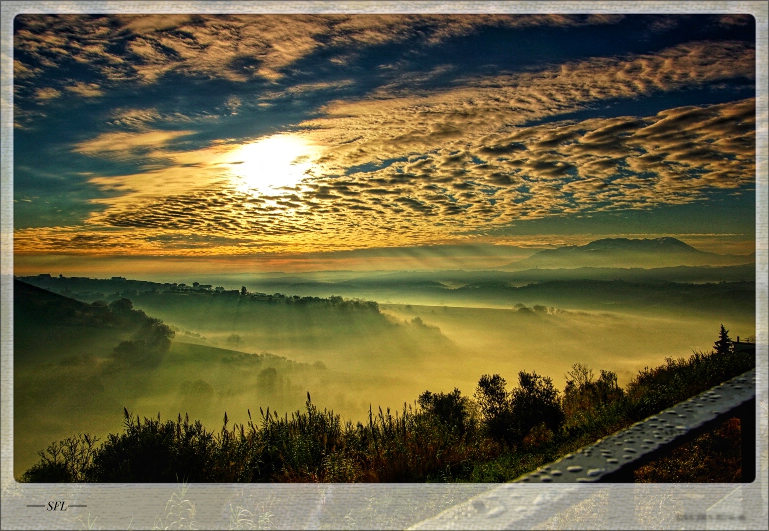 Seltsam, im Nebel zu wandern!