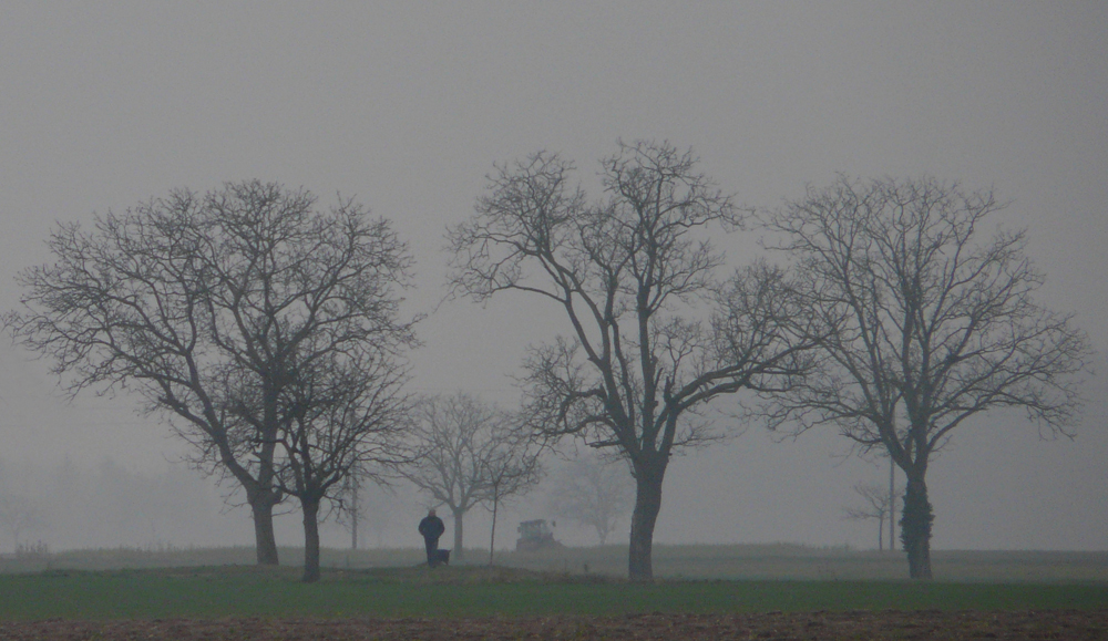 seltsam im Nebel zu wandern...