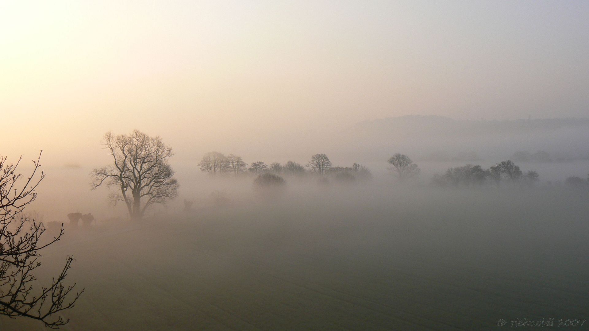 'Seltsam, im Nebel zu wandern!'