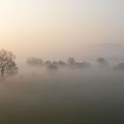 'Seltsam, im Nebel zu wandern!'