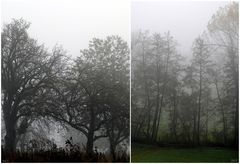 Seltsam, im Nebel zu wandern!