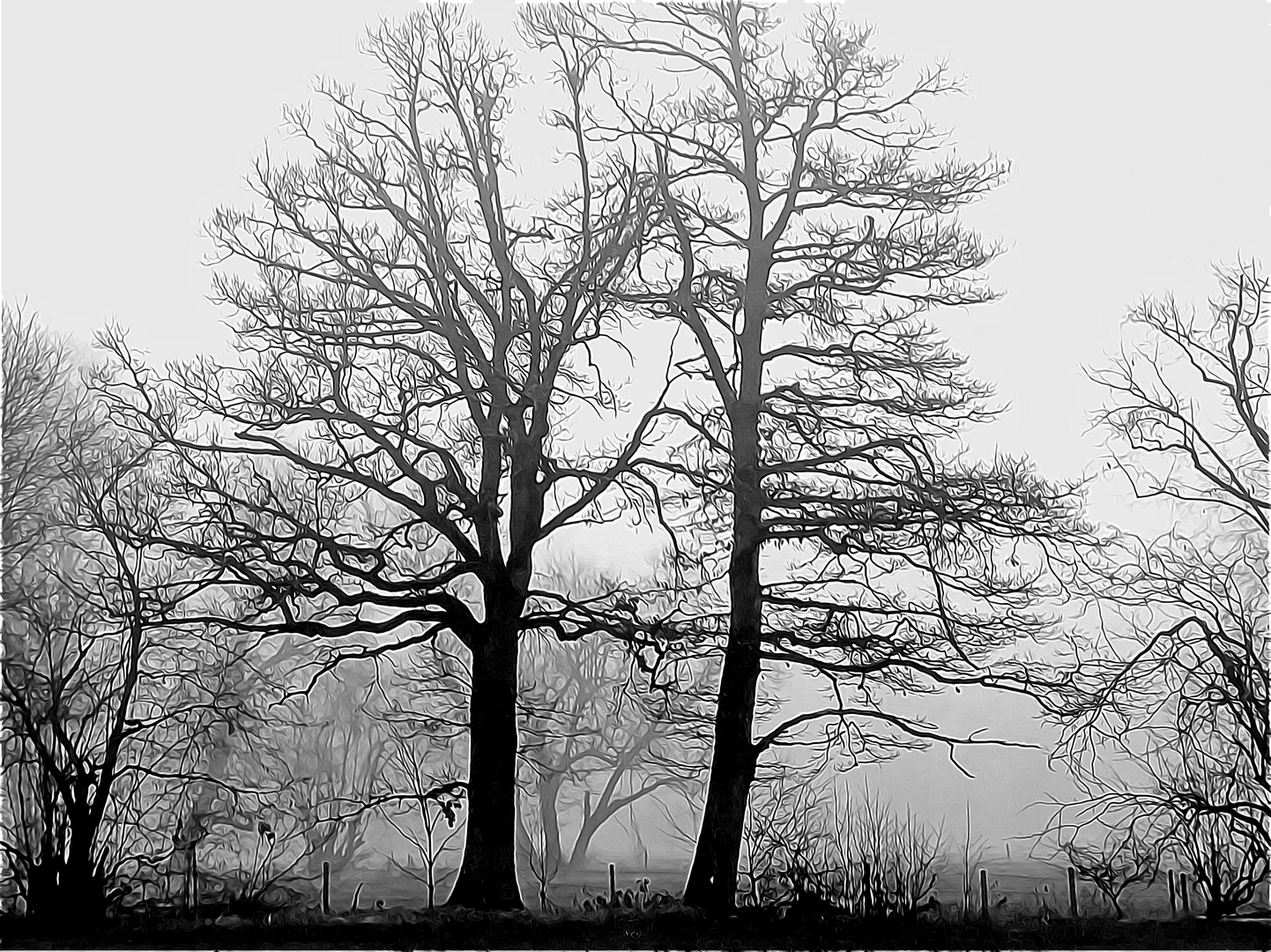 Seltsam im Nebel zu wandern...