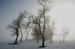 Seltsam im Nebel zu wandern....