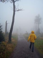 Seltsam, im Nebel zu Wandern...