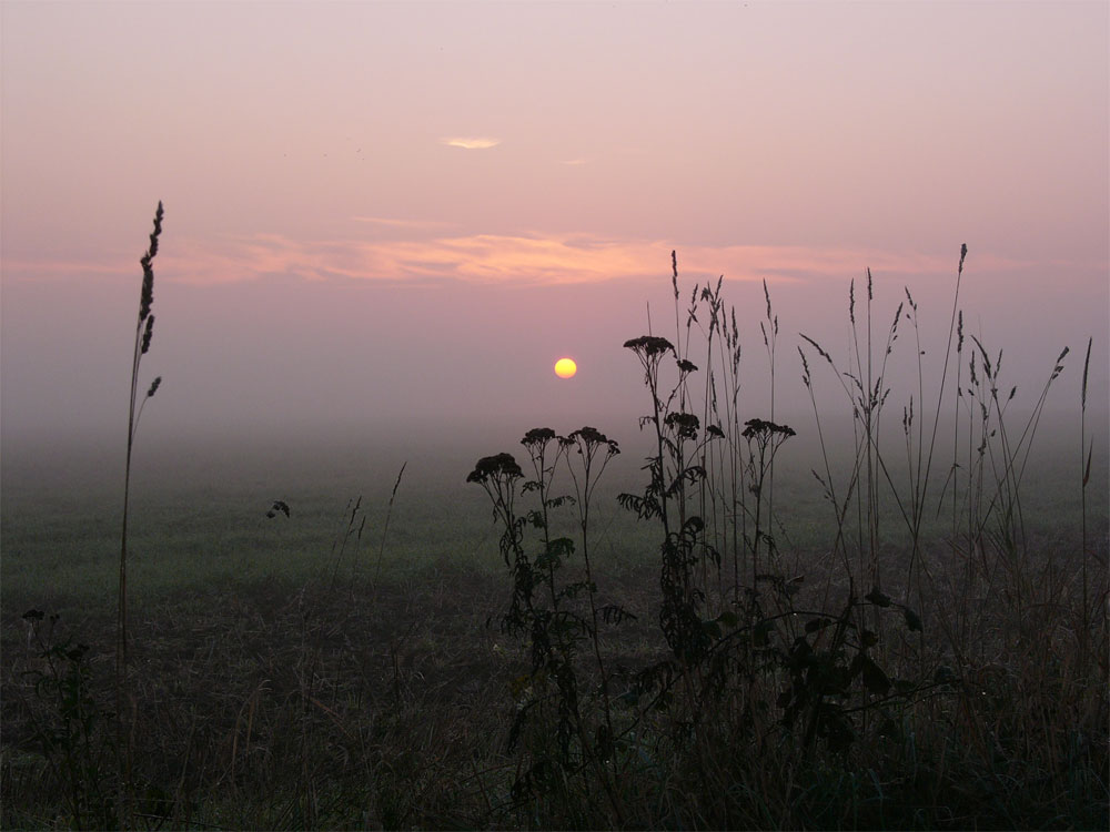 seltsam, im Nebel zu wandern