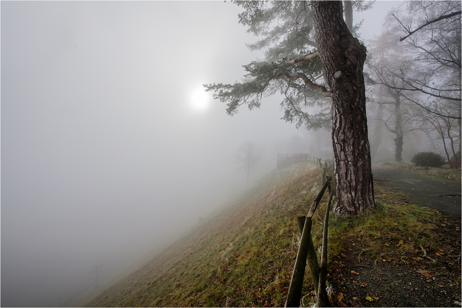 Seltsam, im Nebel zu wandern...