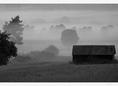 Seltsam im Nebel zu wandern..