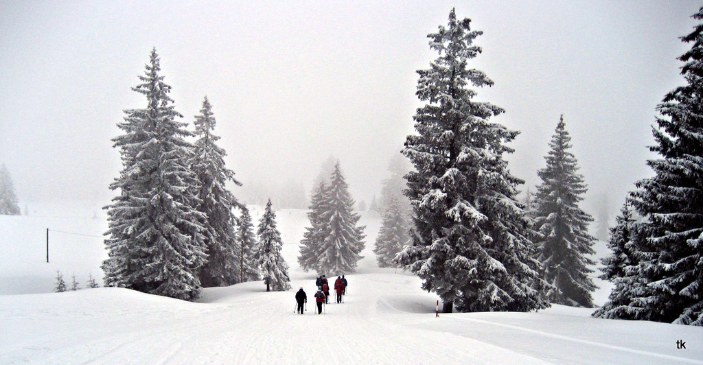 Seltsam im Nebel zu wandern...