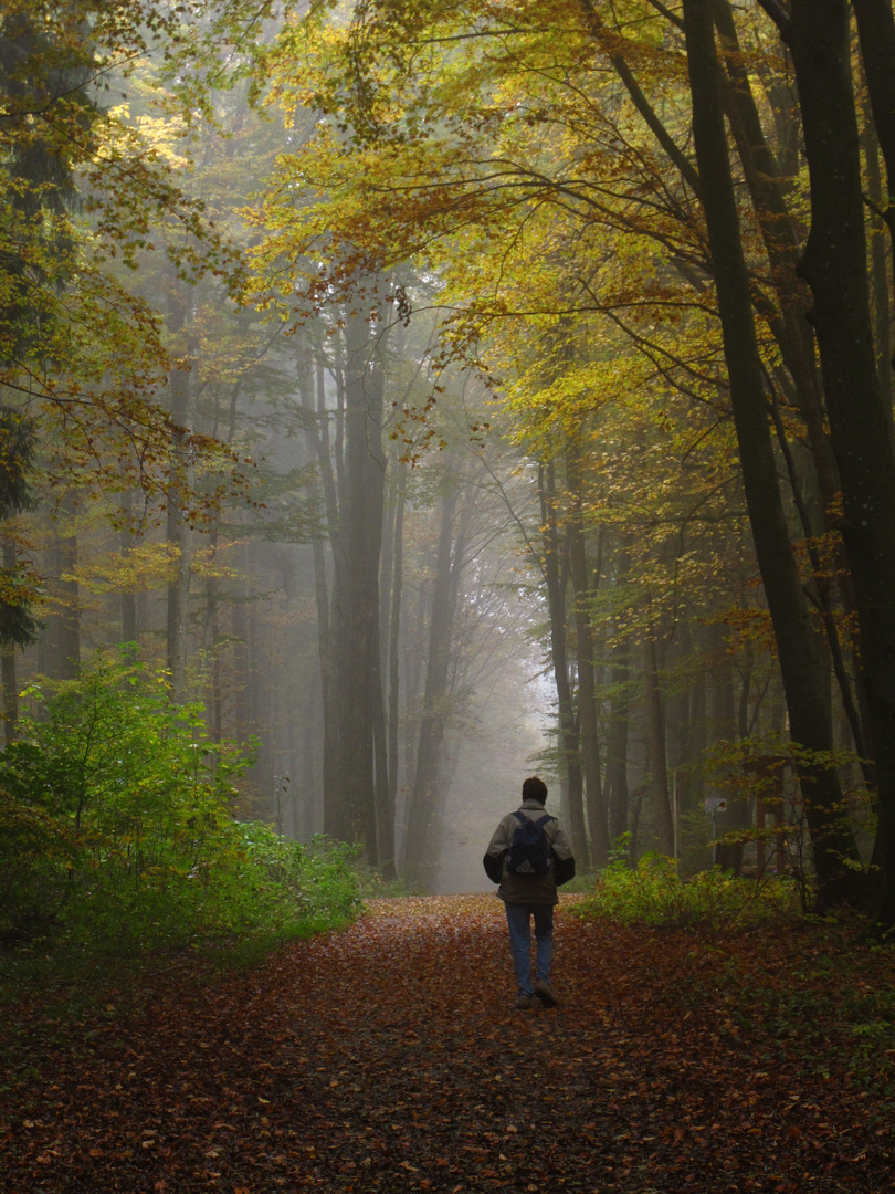 Seltsam im Nebel zu wandern