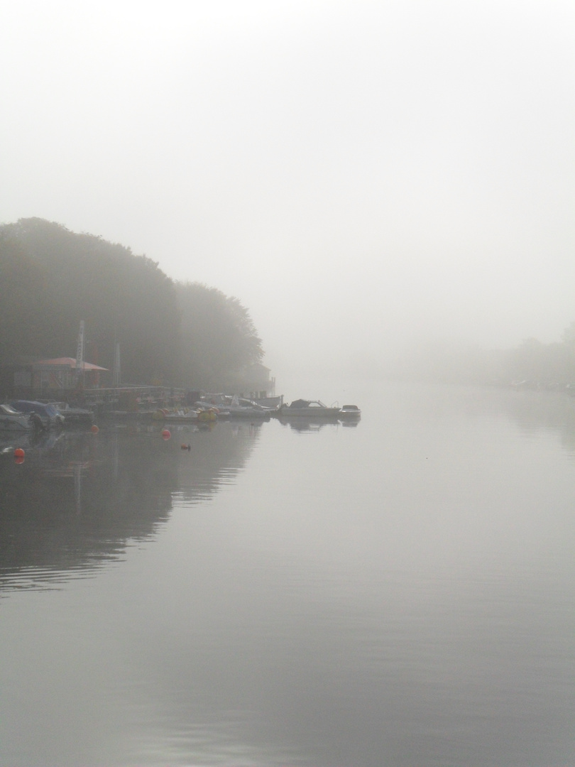 Seltsam im Nebel zu wandern.