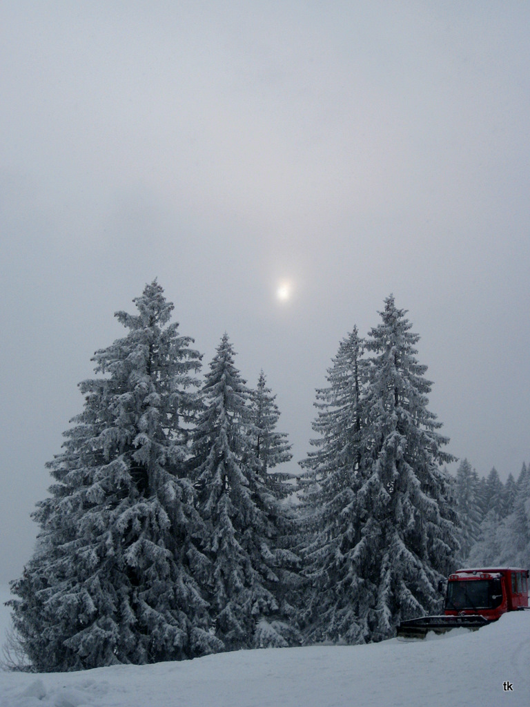 Seltsam im Nebel zu wandern