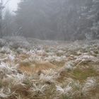 seltsam im nebel zu wandern