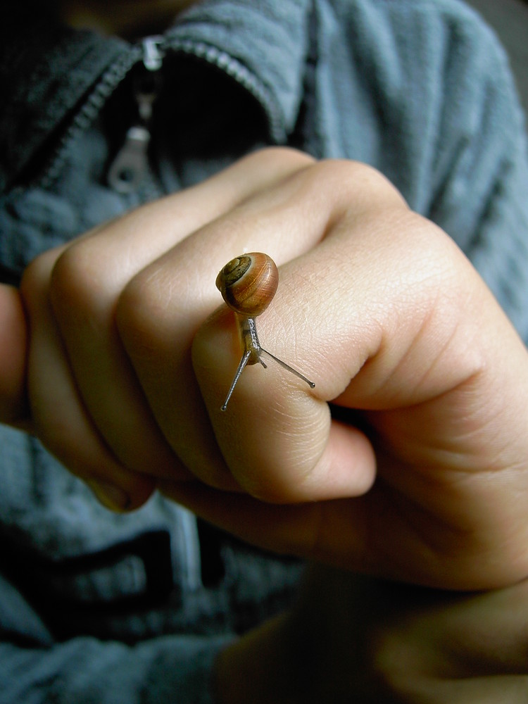 Seltsam komische Schnecke auf ner Hand