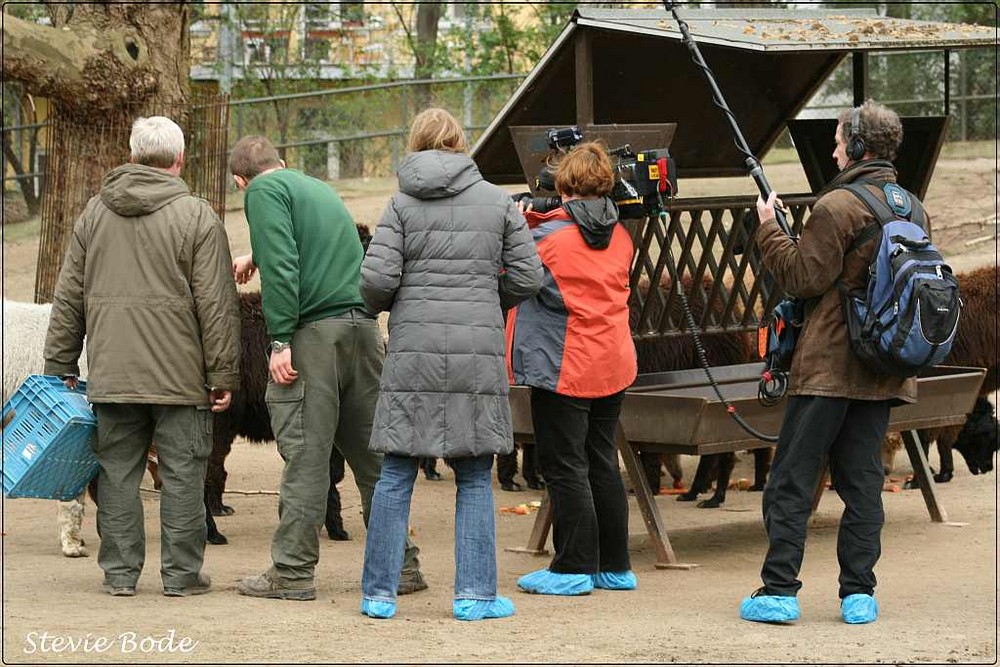 Seltsame blaufüssige Wesen tummeln sich in den Gehegen...