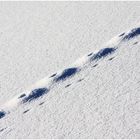 Seltsame Spuren auf dem Schneebedecken See
