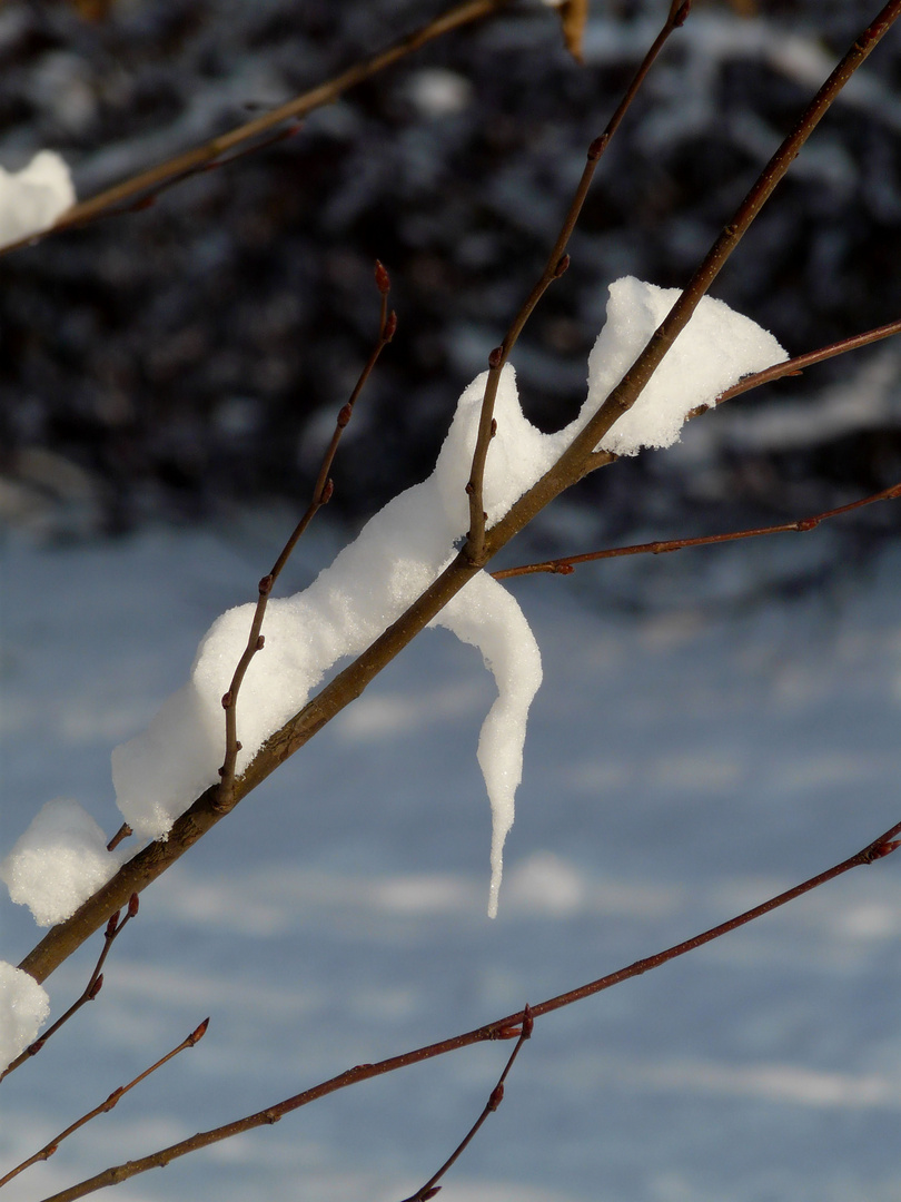 Seltsames Schneegebilde