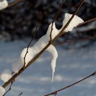 Seltsames Schneegebilde