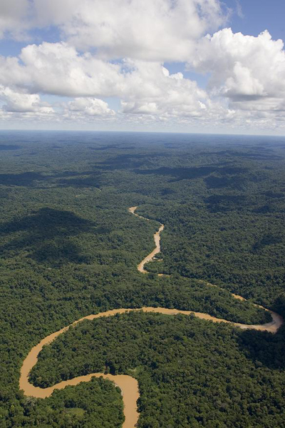 SELVA AMAZONICA