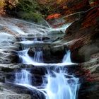 Selva de Irati en Noviembre - Cascada del Cubo