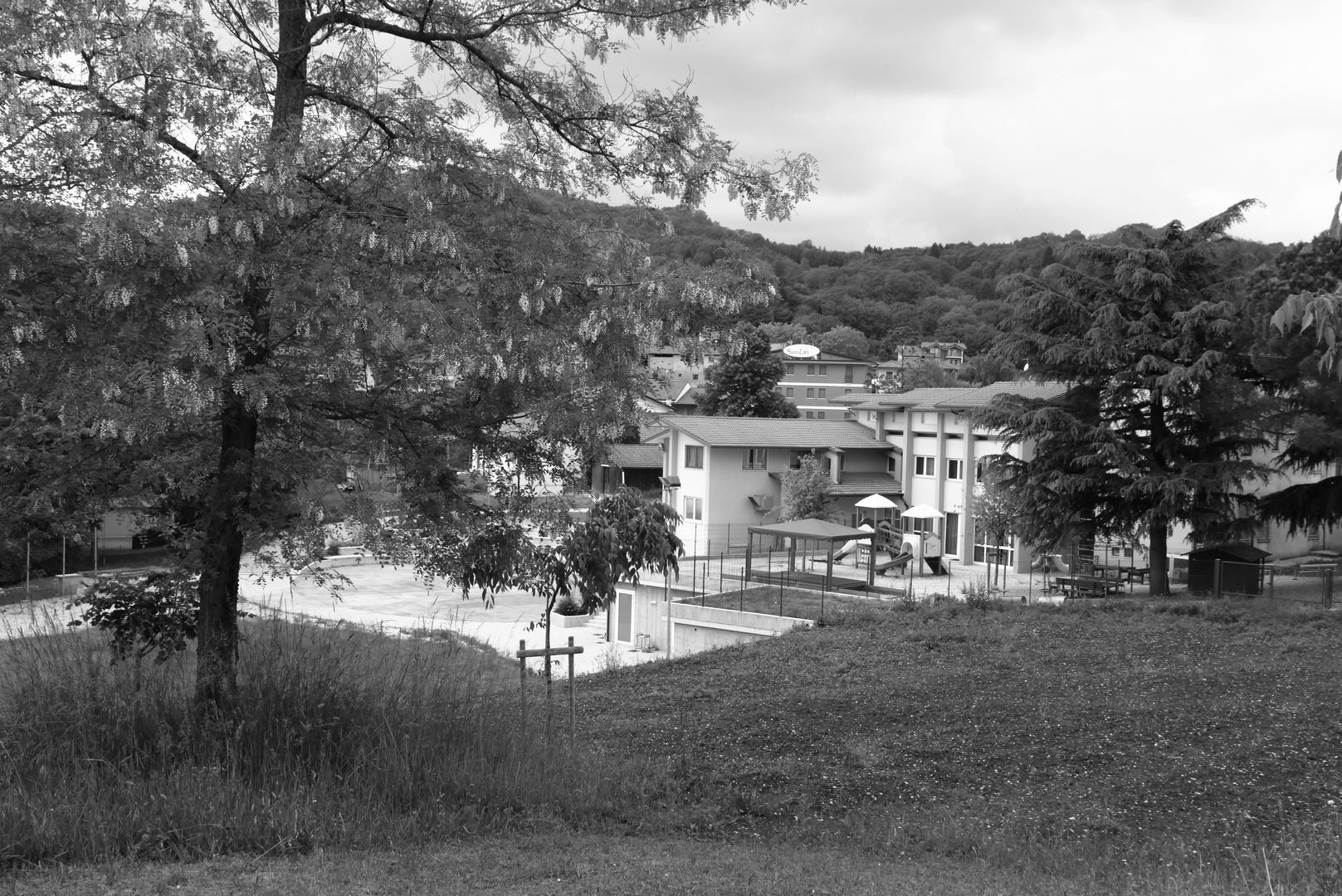 Selva di Trissino VI 12 Maggio 2020 