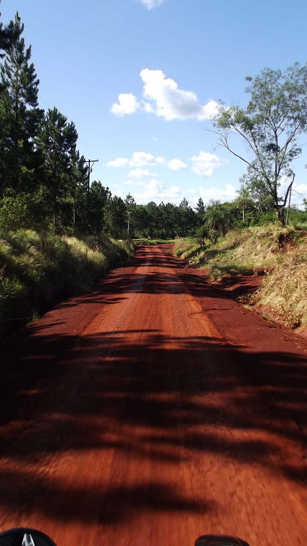 SELVA MISIONERA