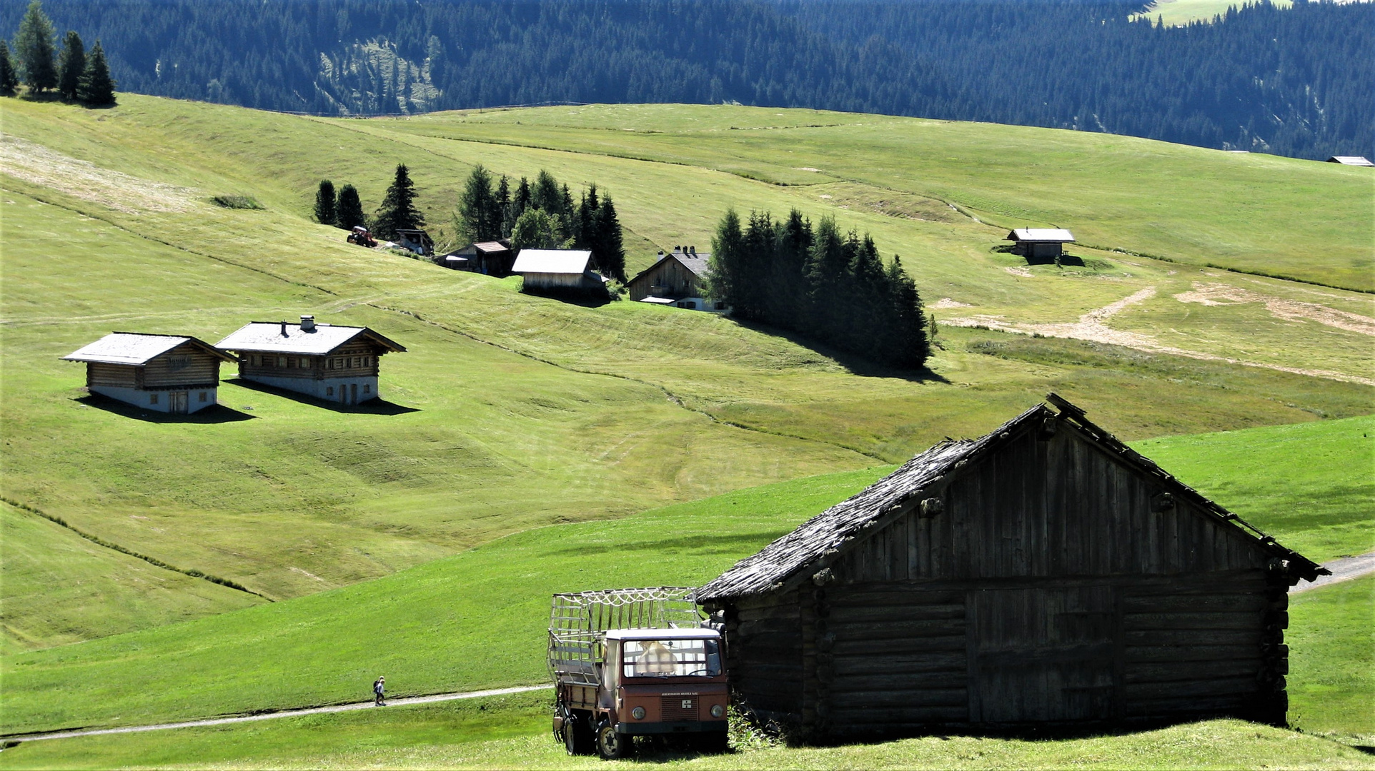 Selva val Gardena