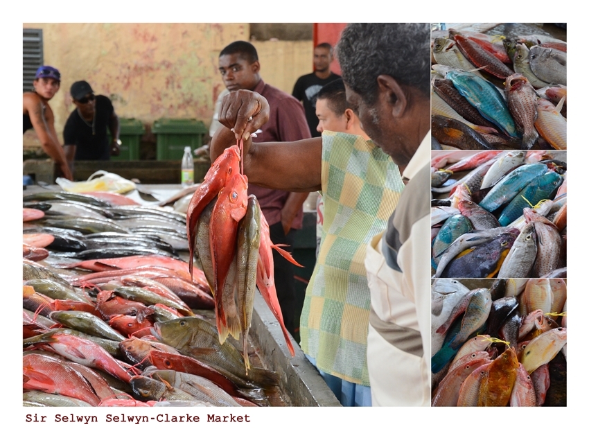 Selwyn Clark Market II