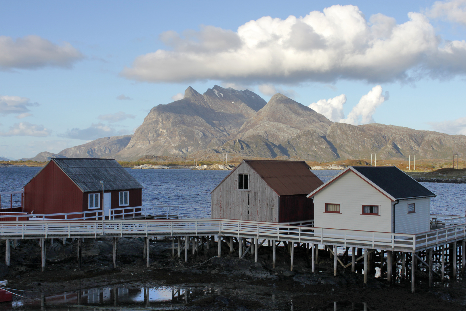 Seløy Kystferie