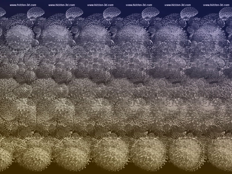 SEM Stereogram