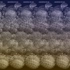 SEM Stereogram