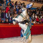 SEMANA SANTA.LORCA