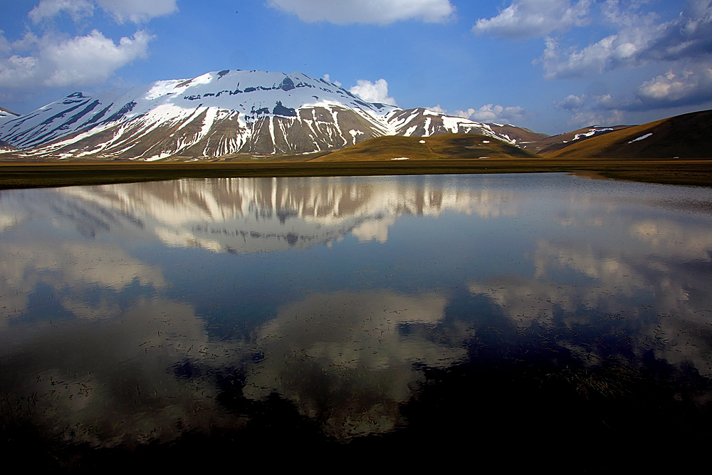 (Sembra il) Grande Nord