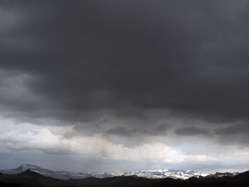 Sembra impossibile che il bianco venga dal nero...