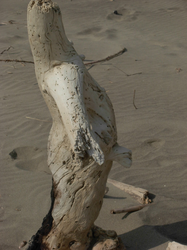 ...sembra un bambino che piscia.....ma è un tronco di un albero.