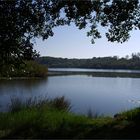 Semi contre-jour sur lac de Mimizan – Sicht auf den Mimizan See in halbem Gegenlicht