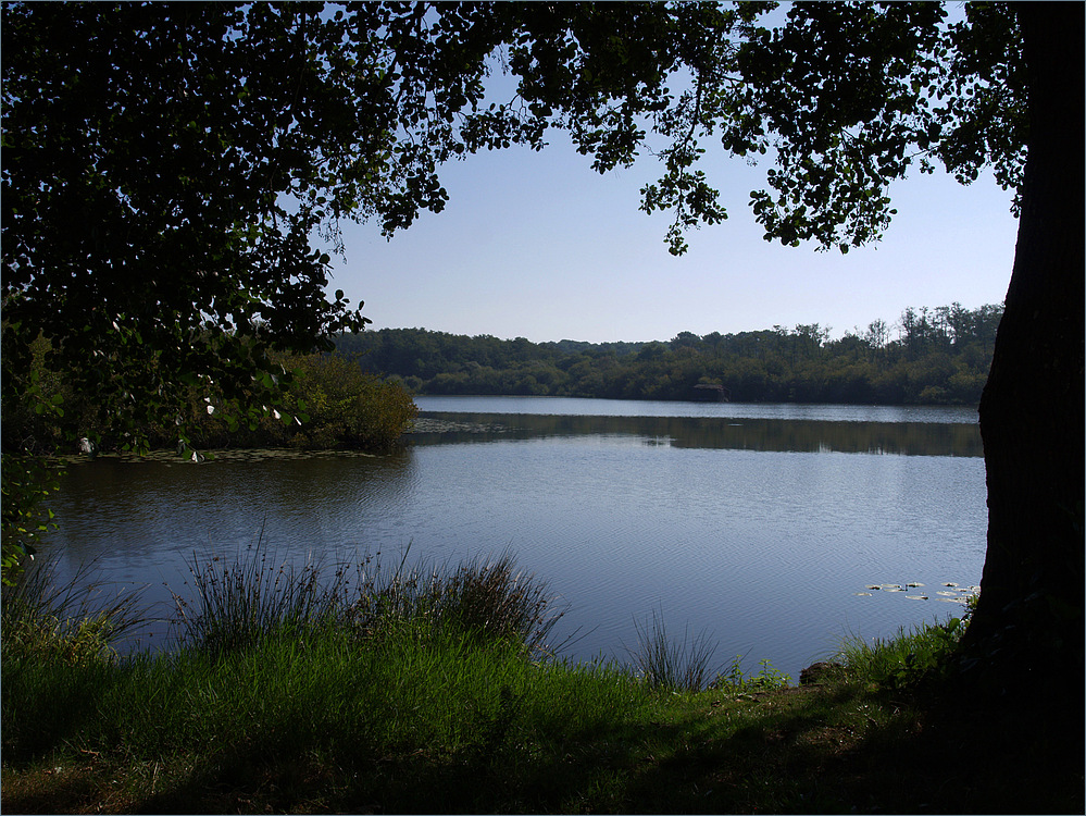 Semi contre-jour sur lac de Mimizan – Sicht auf den Mimizan See in halbem Gegenlicht