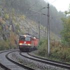 Semmering 2009, "unfaßbar viel Regen", Adlitzgraben 10.10.2009