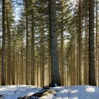 Semmering, Austria