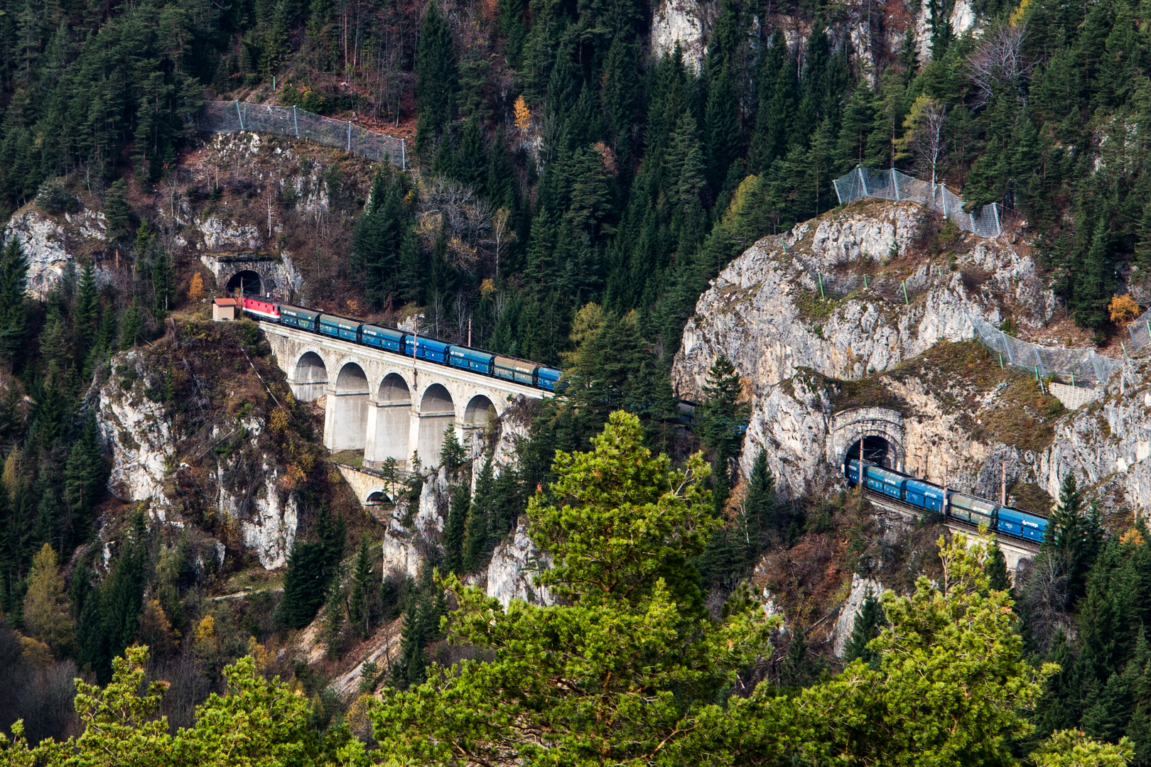 Semmering Krauselklause