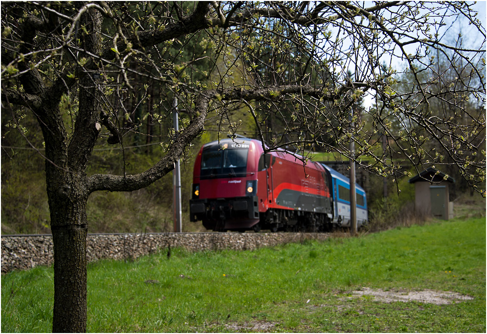 Semmeringfrühling II