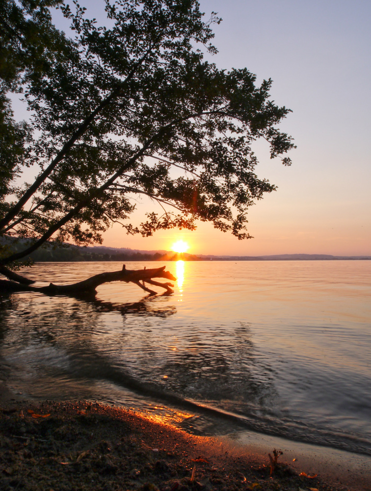 Sempachersee im Sommer 2013