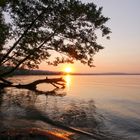 Sempachersee im Sommer 2013